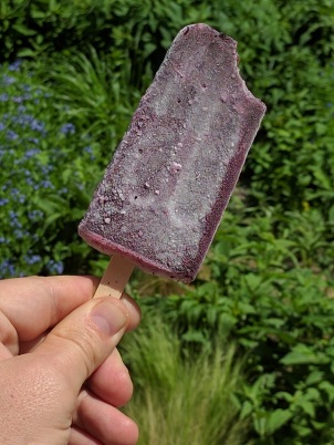The Best Popsicle in the World - Made From a Pint of Blueberries